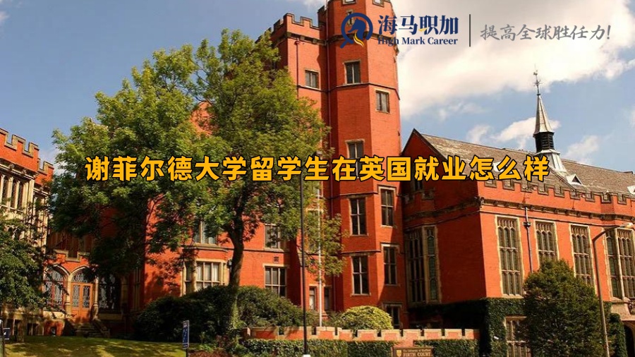 谢菲尔德大学