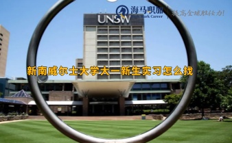 新南威尔士大学大一新生实习怎么找