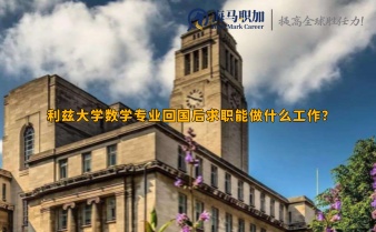 利兹大学数学专业回国后求职能做什么工作?